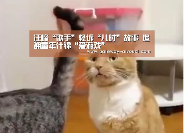 爱游戏棋牌