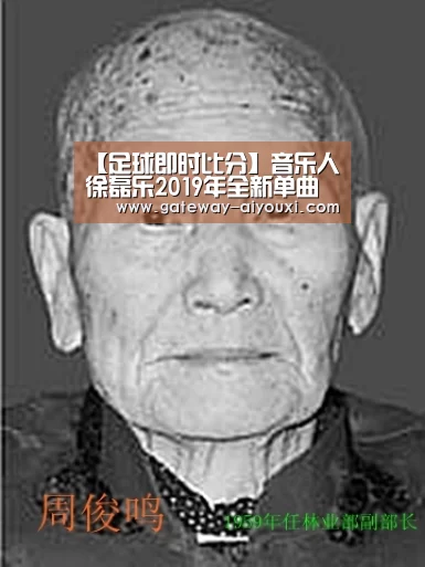 足球即时比分